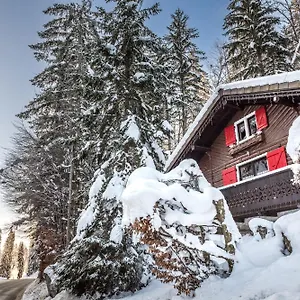 Le Petit Reve - De , Montriond France